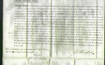 Court of Common Pleas - Elizabeth Sandford-Original Ancestry