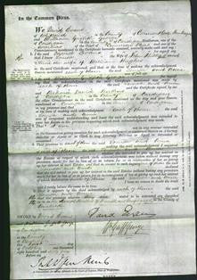 Court of Common Pleas - Louisa Phillip and Anne Hughes-Original Ancestry