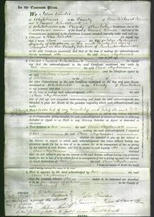 Court of Common Pleas - Ann Stephenson-Original Ancestry