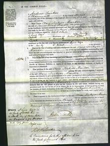 Court of Common Pleas - Clara Lockyer Marder-Original Ancestry