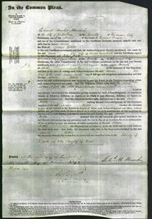 Court of Common Pleas - Ann Kettle-Original Ancestry