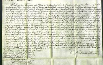 Court of Common Pleas - Susan Wilson-Original Ancestry
