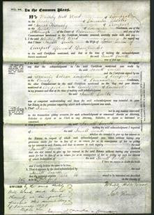 Court of Common Pleas - Janett Smith-Original Ancestry