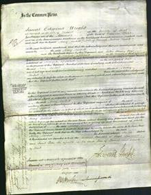 Court of Common Pleas - Mary Jackett-Original Ancestry