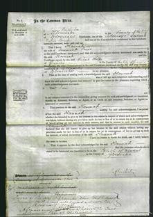 Court of Common Pleas - Hannah Price-Original Ancestry