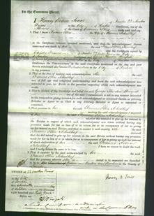 Court of Common Pleas - Frances Ellen Schulhof-Original Ancestry