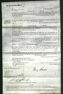 Court of Common Pleas - Ann Sykes-Original Ancestry