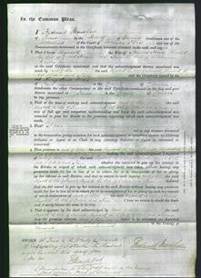 Court of Common Pleas - Elizabeth Hearle, Elizabeth Hearle and Jane Martin-Original Ancestry