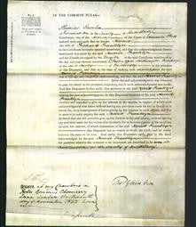 Court of Common Pleas - Harriet Franklyn-Original Ancestry