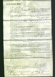 Court of Common Pleas - Ann Tomkin-Original Ancestry