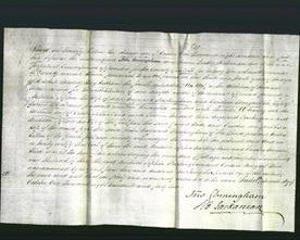 Deed by Married Women - Matilda Sophia Buckingham and Caroline Margaret Wade-Original Ancestry