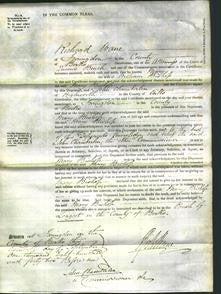 Court of Common Pleas - Mary Bishop-Original Ancestry