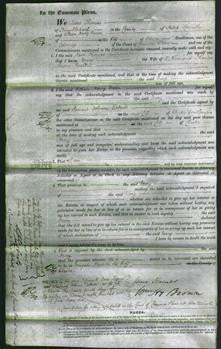 Court of Common Pleas - Mary Foulkes-Original Ancestry