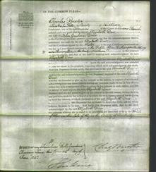 Court of Common Pleas - Elizabeth Dow-Original Ancestry