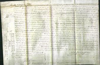 Court of Common Pleas - Matilda Sophia Buckingham and Caroline Margaret Wade-Original Ancestry