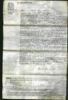 Court of Common Pleas - Harriet Margaret Baroness Moslyn-Original Ancestry