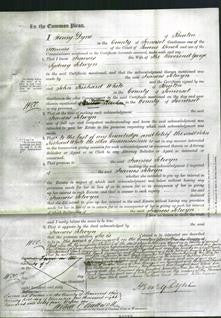 Court of Common Pleas - Frances Selwyn-Original Ancestry