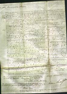 Court of Common Pleas - Hannah Shepherd-Original Ancestry