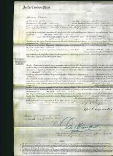 Court of Common Pleas - Martha Maria Gower-Original Ancestry