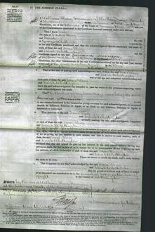 Court of Common Pleas - Jane King and Sarah Whittington-Original Ancestry