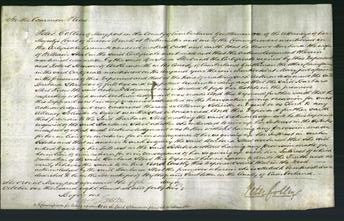 Court of Common Pleas - Barbara Steel-Original Ancestry