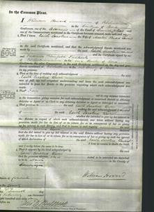 Court of Common Pleas - Edith Caroline Lewin-Original Ancestry