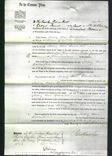 Court of Common Pleas - Mary Ann Coventon-Original Ancestry