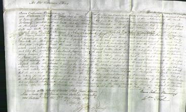 Court of Common Pleas - Dame Charlotte de Hochepied Larpent-Original Ancestry