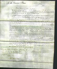 Court of Common Pleas - Sarah Wright-Original Ancestry