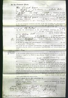 Court of Common Pleas - Sarah Cawley-Original Ancestry