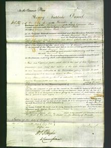 Court of Common Pleas - Margaret Hall-Original Ancestry