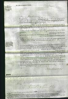 Court of Common Pleas - Elizabeth Bishop-Original Ancestry