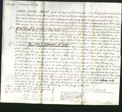 Court of Common Pleas - Esther Tyler-Original Ancestry