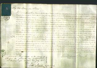 Court of Common Pleas - Mary Usher-Original Ancestry