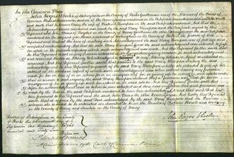 Court of Common Pleas - Mary Thompson-Original Ancestry