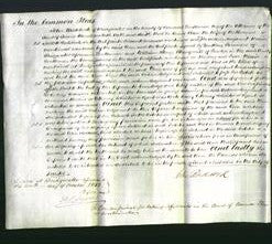 Court of Common Pleas - Ann Ruddick-Original Ancestry