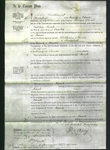 Court of Common Pleas - Sarah Cawley-Original Ancestry