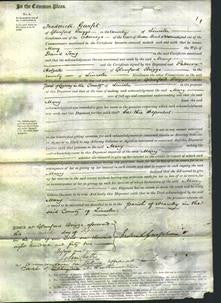 Court of Common Pleas - Mary Tong-Original Ancestry