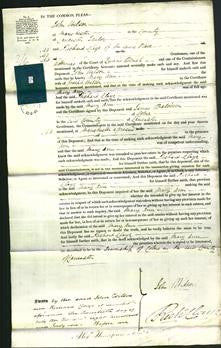 Court of Common Pleas - Mary Ann Wilson-Original Ancestry