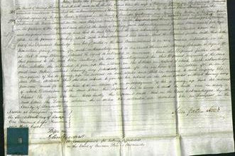 Court of Common Pleas - Ellen Mooney-Original Ancestry