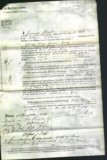 Court of Common Pleas - Ann Susan Gray-Original Ancestry