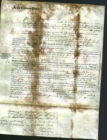 Court of Common Pleas - Maria Shingleton-Original Ancestry