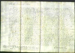 Court of Common Pleas - Elizabeth Peat and Ann Long-Original Ancestry