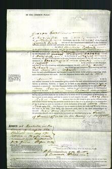 Court of Common Pleas - Mary Ann Rodwell-Original Ancestry