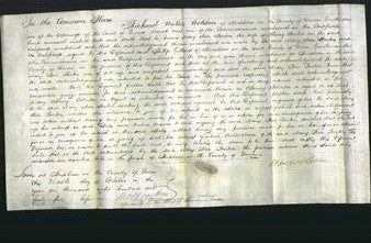 Court of Common Pleas - Mary Beer Parker-Original Ancestry