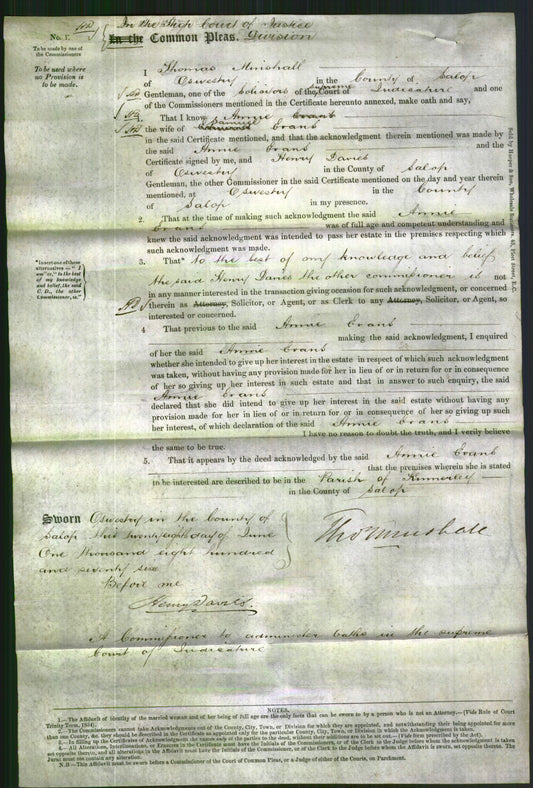 Court of Common Pleas - Anne Evans-Original Ancestry