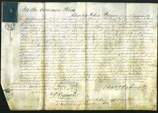 Court of Common Pleas - Ann Green-Original Ancestry