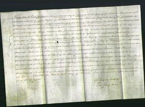 Deed by Married Women - Thomasina Hannah Newtonia Von Burr Fortune-Original Ancestry