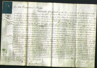 Court of Common Pleas - Thomasina Hannah Newtonia Von Burr Fortune-Original Ancestry