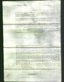 Court of Common Pleas - Bridget Anne Palmer-Original Ancestry